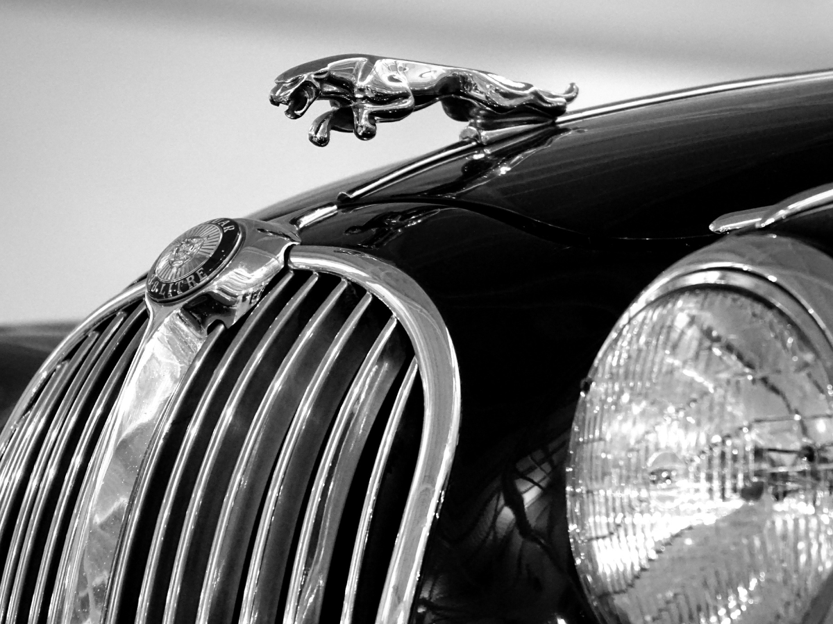 Jaguar Servicing