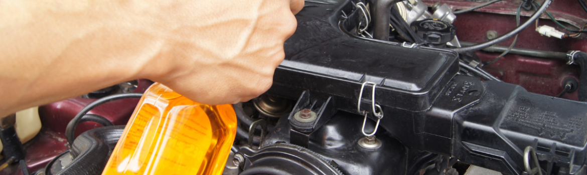 Professional Van Service